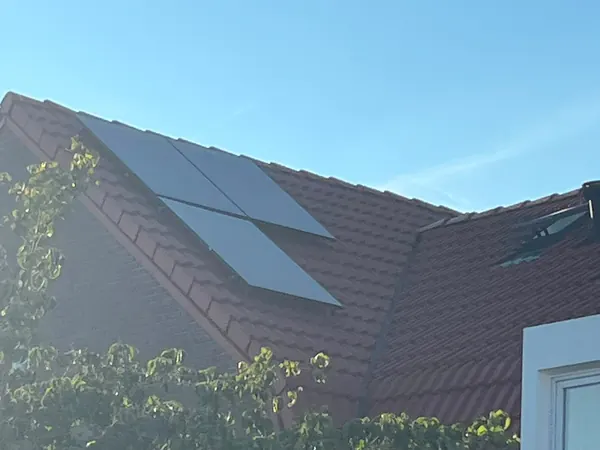 Zwarte zonnepanelen op een rood pannendak achter een begroeide schutting
